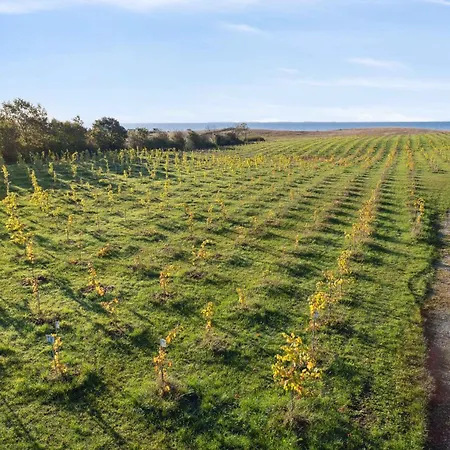 Nyaraló Talian Charm At Vineyard Near Karrebæksminde