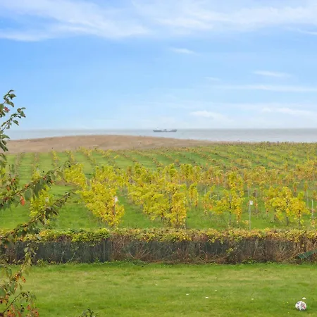 Talian Charm At Vineyard Near Karrebæksminde