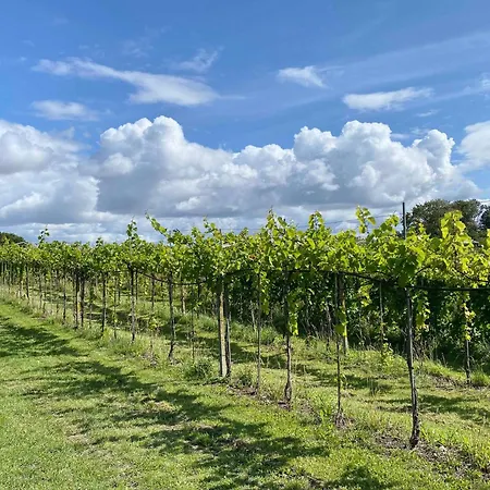 Talian Charm At Vineyard Near 度假居